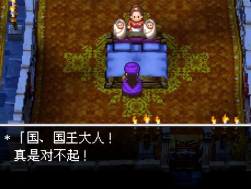 nds勇者斗恶龙5攻略(勇者斗恶龙5天空的新娘攻略详细步骤)插图19