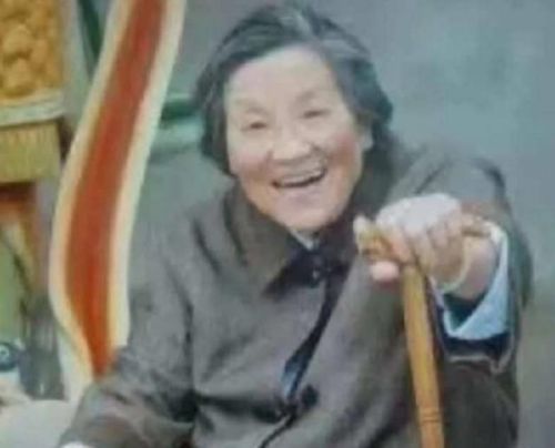 植物大战僵尸十亿钻石(植物大战僵尸2钻石号)