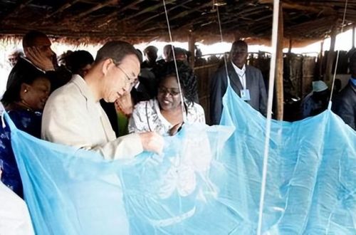 西班牙蚊帐排名前十图片(美朵嘉的蚊帐好吗)插图12 西班牙蚊帐排名前十图片(美朵嘉的蚊帐好吗)插图12