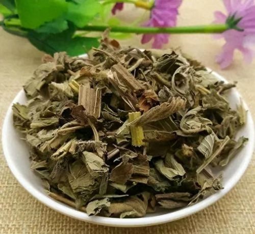 龙齿草(龙齿是什么动物身上的)插图5