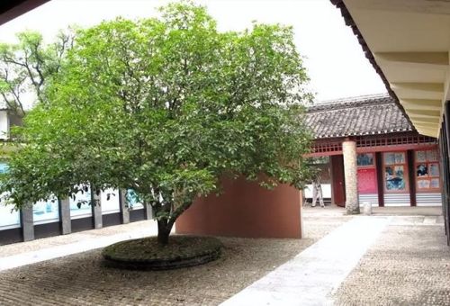 桂林著名村庄排名前十(国外有些哪有名的村庄)插图7 桂林著名村庄排名前十(国外有些哪有名的村庄)插图7