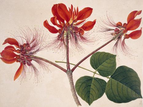 洛克王国紫藤的快速收集方法(洛克王国紫藤可掉落吗)插图16