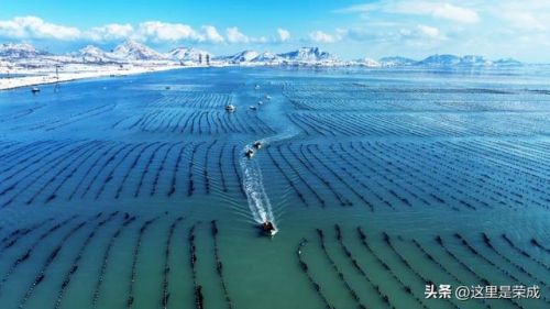 威海荣成温泉排名前十(威海哪个温泉是天然温泉)插图 威海荣成温泉排名前十(威海哪个温泉是天然温泉)插图