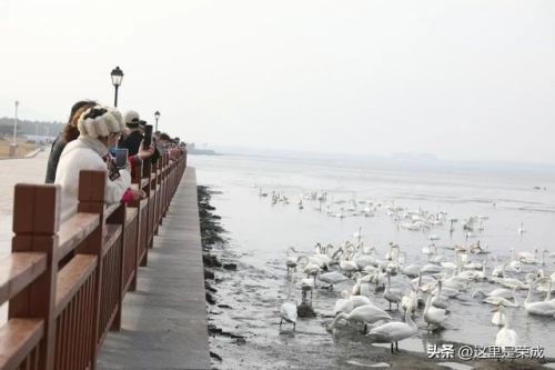 威海荣成温泉排名前十(威海哪个温泉是天然温泉)插图10 威海荣成温泉排名前十(威海哪个温泉是天然温泉)插图10