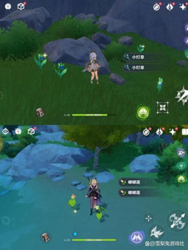 原神石珀在哪(石珀哪里采集)插图5 原神石珀在哪(石珀哪里采集)插图5