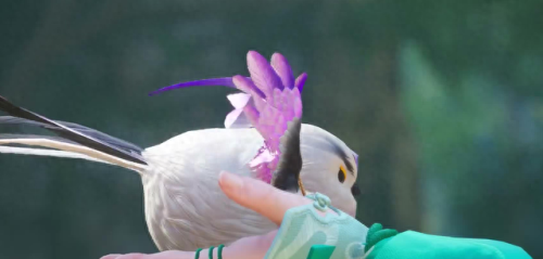 仙剑5 攻略(仙剑5详细图文全攻略)