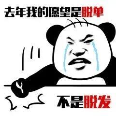 元旦qq表情(元旦快乐兔子表情)插图6