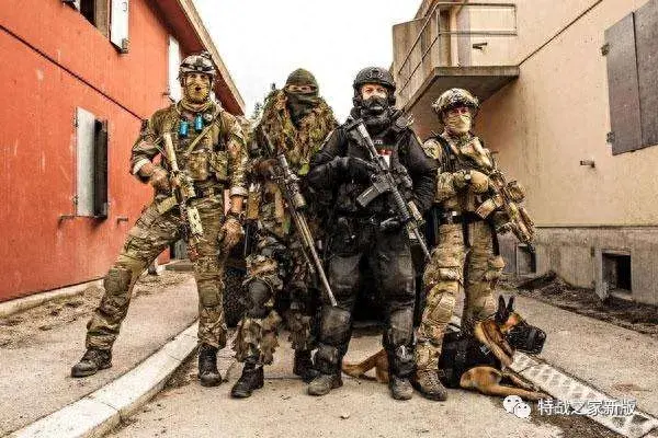 洛克王国伏地兽(洛克王国伏地兽绝版了吗)插图9