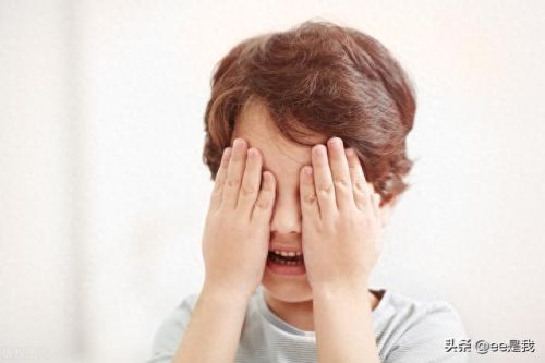 触动陷阱(触碰陷阱)