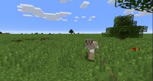 我的世界怎么养动物(我的世界动物饲养基地)插图3 我的世界怎么养动物(我的世界动物饲养基地)插图3