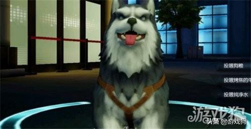 龙族幻想异闻(龙族幻想平静的仕兰)插图1 龙族幻想异闻(龙族幻想平静的仕兰)插图1