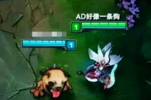 英雄联盟全部157位英雄列表(lol的英雄人物大全图片)插图21