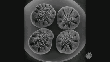 可乐最初是什么颜(可乐的最初用途)插图10