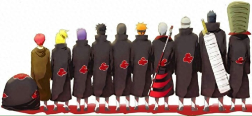 晓的成员(晓成员介绍)