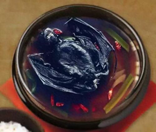 牛奶鱼群汤(牛奶麻酱汤做法大全)插图28 牛奶鱼群汤(牛奶麻酱汤做法大全)插图28