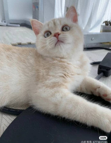 问道法金怎么加点(问道平民法金怎么加点)插图