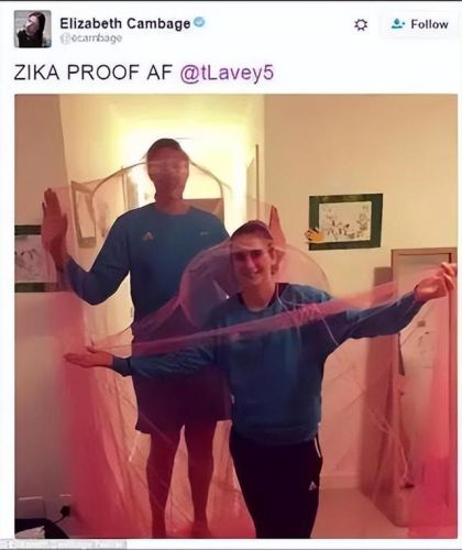 西班牙蚊帐排名前十图片(美朵嘉的蚊帐好吗)插图10 西班牙蚊帐排名前十图片(美朵嘉的蚊帐好吗)插图10