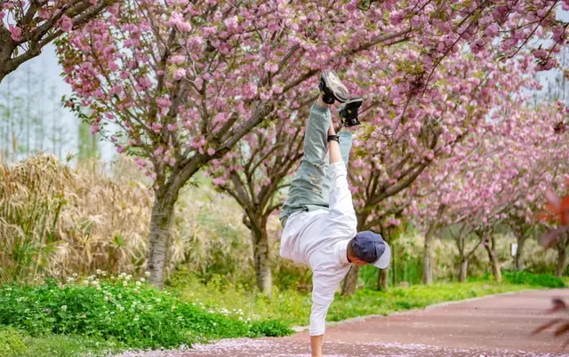 光遇浪漫樱花海怎么去(光遇警惕站姿长什么样)