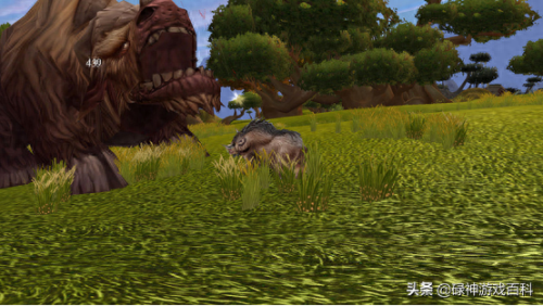 海狮试炼(德鲁伊海狮试炼图解)插图1