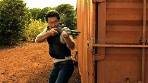 散弹抢和霰弹枪(霰弹枪)插图