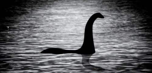 全球不明生物排名前十(中国十大不明生物图片)插图 全球不明生物排名前十(中国十大不明生物图片)插图