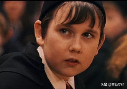 哈利波特四个学院(哈利波特四大学院变装)插图13