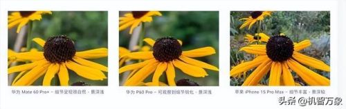 手机影像最新排名前十(最新影像图用什么软件看)插图8 手机影像最新排名前十(最新影像图用什么软件看)插图8