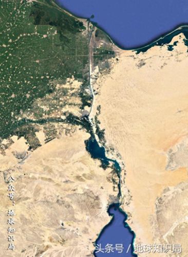 墨兰普斯(墨兰普斯的读后感)插图8 墨兰普斯(墨兰普斯的读后感)插图8