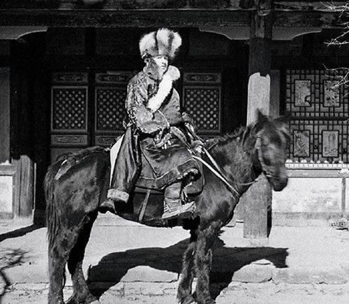 洛克王国极限刷级340万经验(刷洛克王国vip的卡盟)插图3