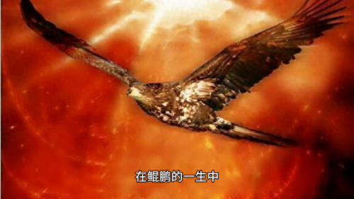 山海经异兽录神兽区(山海经异兽录神兽区在哪)插图2 山海经异兽录神兽区(山海经异兽录神兽区在哪)插图2