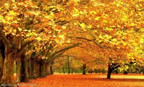 3d直播(3d开奖结果)