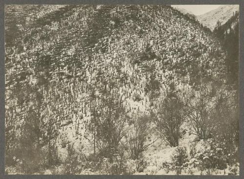 洛克王国紫藤的快速收集方法(洛克王国紫藤可掉落吗)插图38