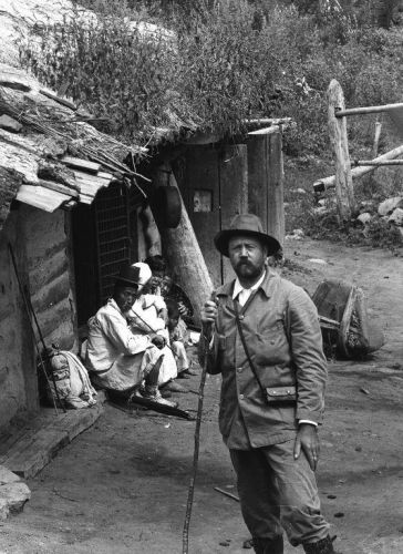 洛克王国紫藤的快速收集方法(洛克王国紫藤可掉落吗)插图30