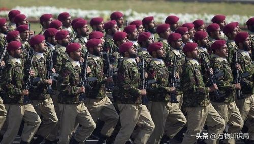 最牛部队排名前十(部队哪个部门最牛)插图20 最牛部队排名前十(部队哪个部门最牛)插图20