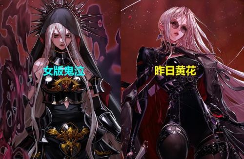 dnf女鬼剑职业名称(女鬼剑士的玩法技巧)