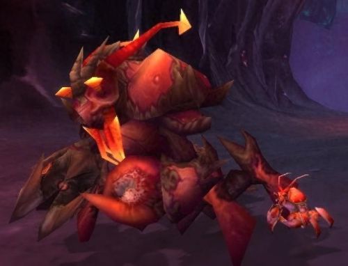 魔尾鱼群(祖斑魔尾鱼)插图