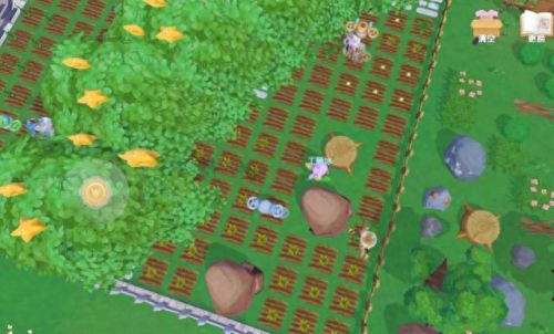 摩尔庄园小镇(白色浆果摩尔庄园)插图4