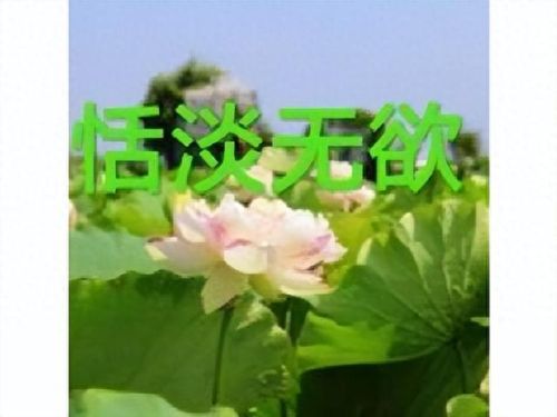 wow稀有坐骑(世界十大稀有坐骑)