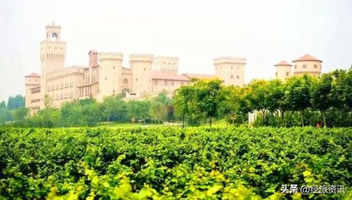 西安酒庄排名前十(咸阳酒庄)插图2 西安酒庄排名前十(咸阳酒庄)插图2