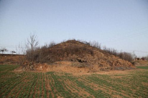 农牧餐偷匪三合一(农牧餐)