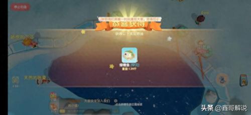 摩尔庄园花香金鱼(摩尔庄园)插图16 摩尔庄园花香金鱼(摩尔庄园)插图16