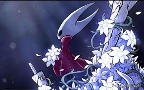 空洞骑士(空洞骑士劝退了多少人)插图3