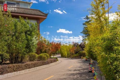 晋宁民宿排名前十(昆明最好的民宿)插图9 晋宁民宿排名前十(昆明最好的民宿)插图9