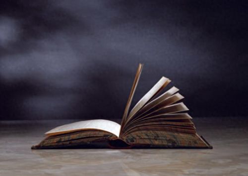 摇钱树怎么种(摇钱树浇水七句口诀)插图6