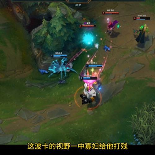 蜘蛛打野(蜘蛛打野刷野路线)插图2