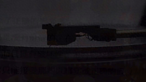 哪种动物的叫声和猫咪差不多(猫咪20种叫声代表什么)插图4