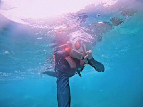 牛奶鱼群汤(牛奶麻酱汤做法大全)插图10 牛奶鱼群汤(牛奶麻酱汤做法大全)插图10