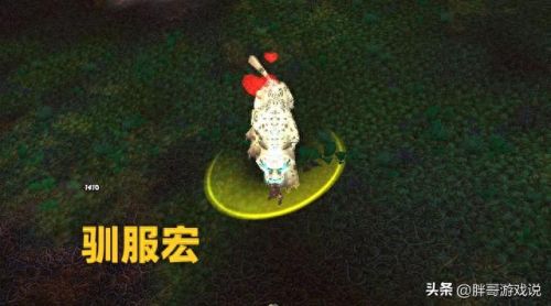 祖达克灵魂兽(祖达克狼哪里抓)插图2