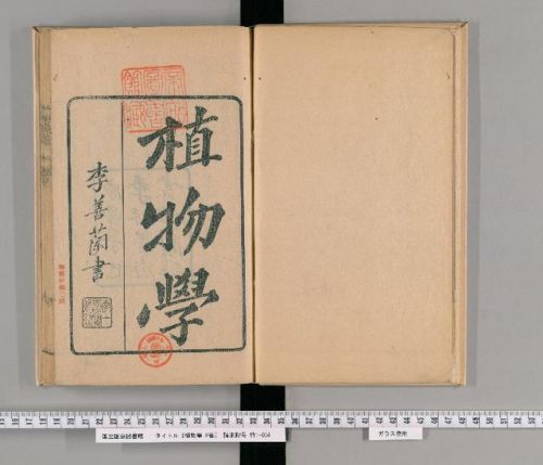 洛克王国紫藤的快速收集方法(洛克王国紫藤可掉落吗)插图46