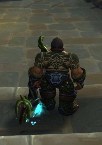 wow猎人锁甲幻化大全(金色锁甲幻化)插图9 wow猎人锁甲幻化大全(金色锁甲幻化)插图9